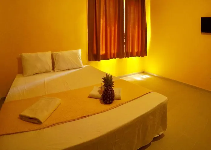 Flamingo Beach & Bed & Breakfast *