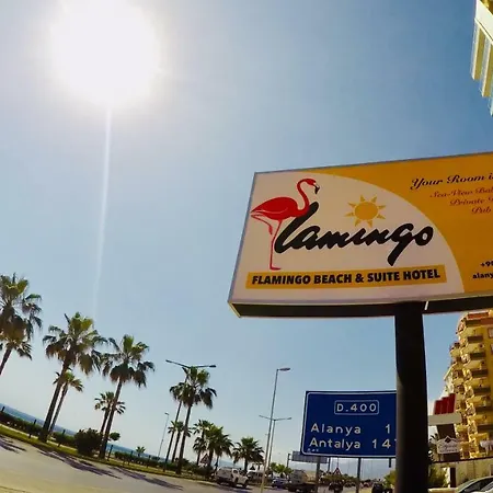Flamingo Beach & Mahmutlar